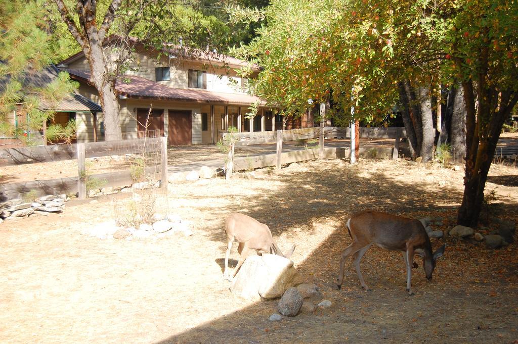 9N Fox Hollow Wawona Exterior photo