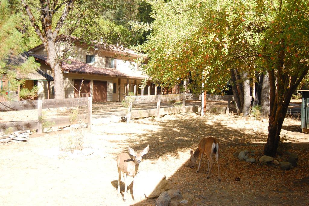 9N Fox Hollow Wawona Exterior photo